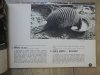 Krakowskie ZOO. Przewodnik [Stefan Berdak]